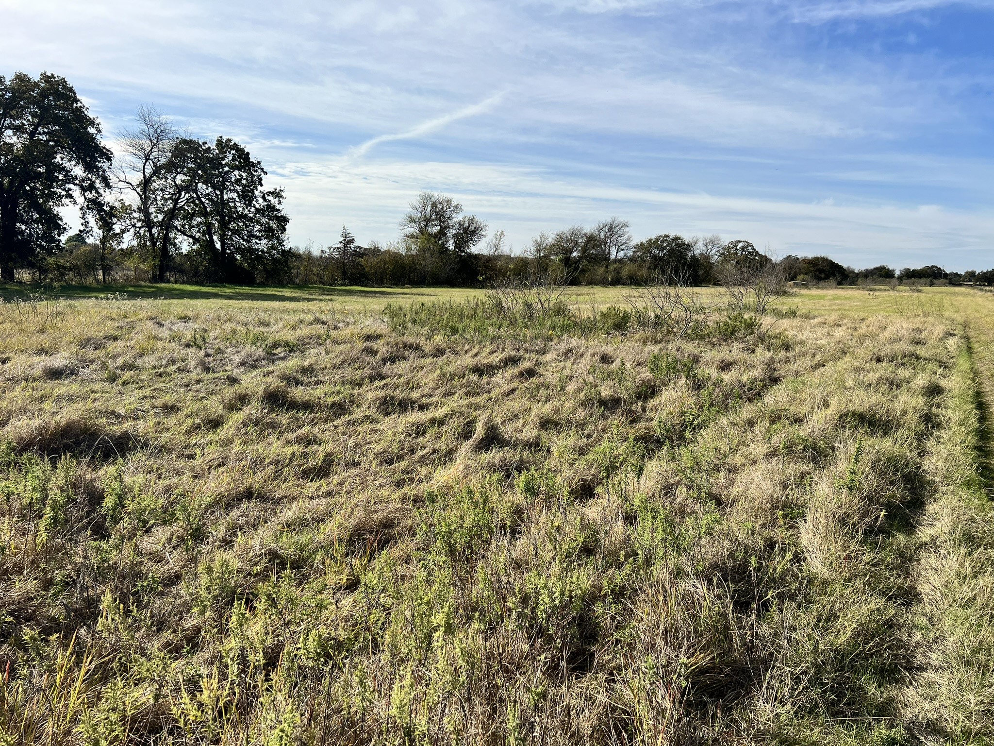 Tbd Wesley Chapel Road Gholson TX 76705