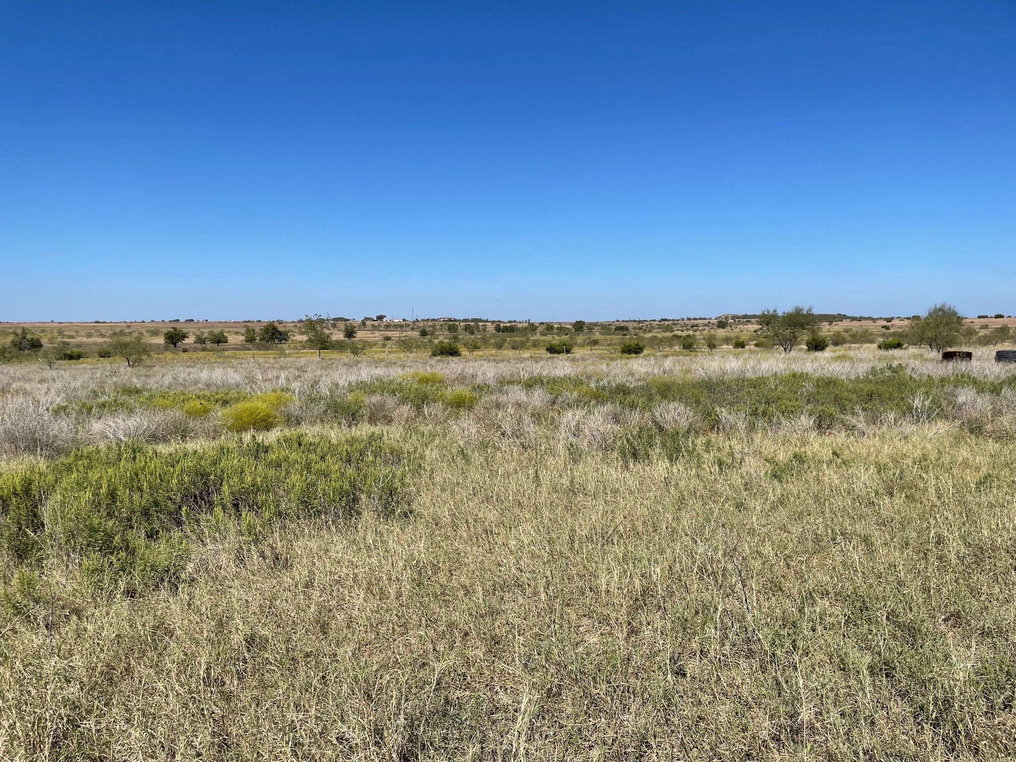 310 County Road 621 Hamilton TX 76531
