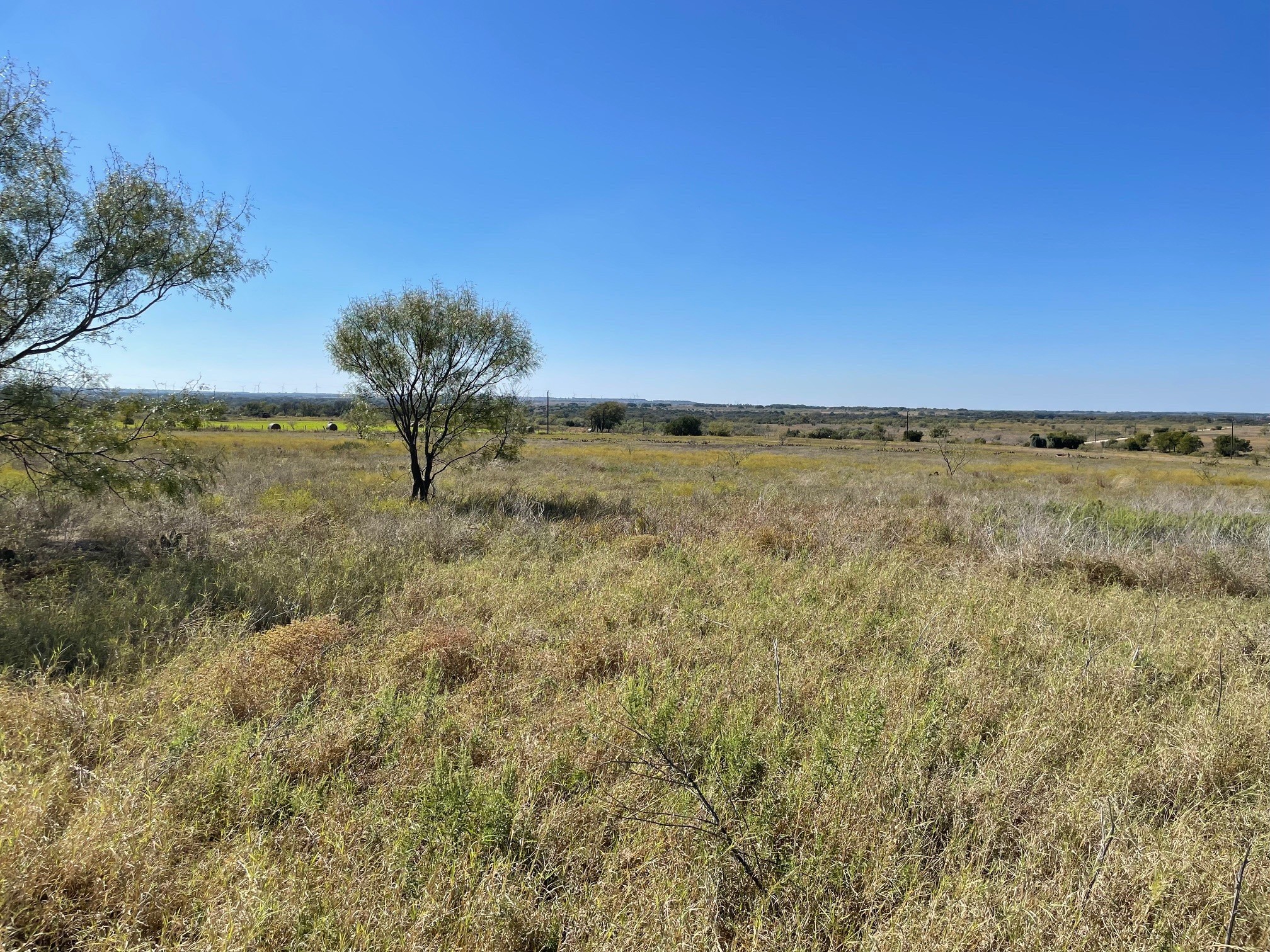 310 County Road 621 Hamilton TX 76531