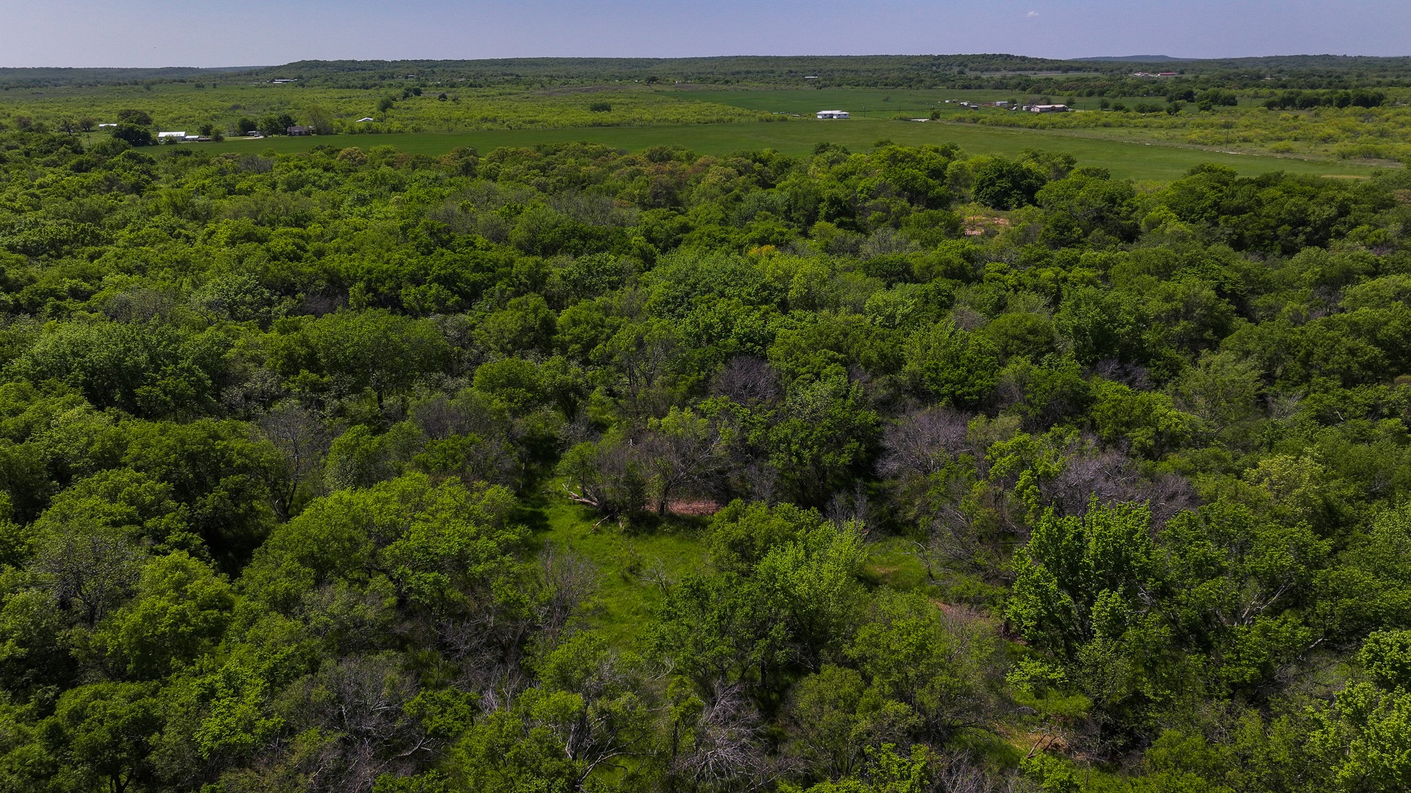 Tract 3 Rock Springs School Road Montague TX 76251