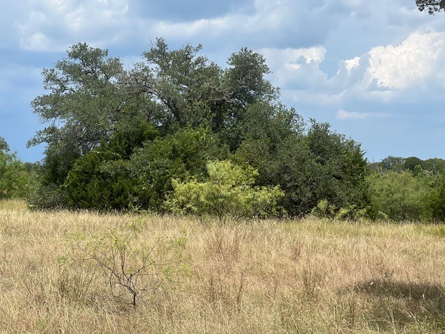 28005 White Bluff Drive Whitney TX 76692