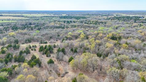 Lot 12 Sunrise West Corsicana TX 75109