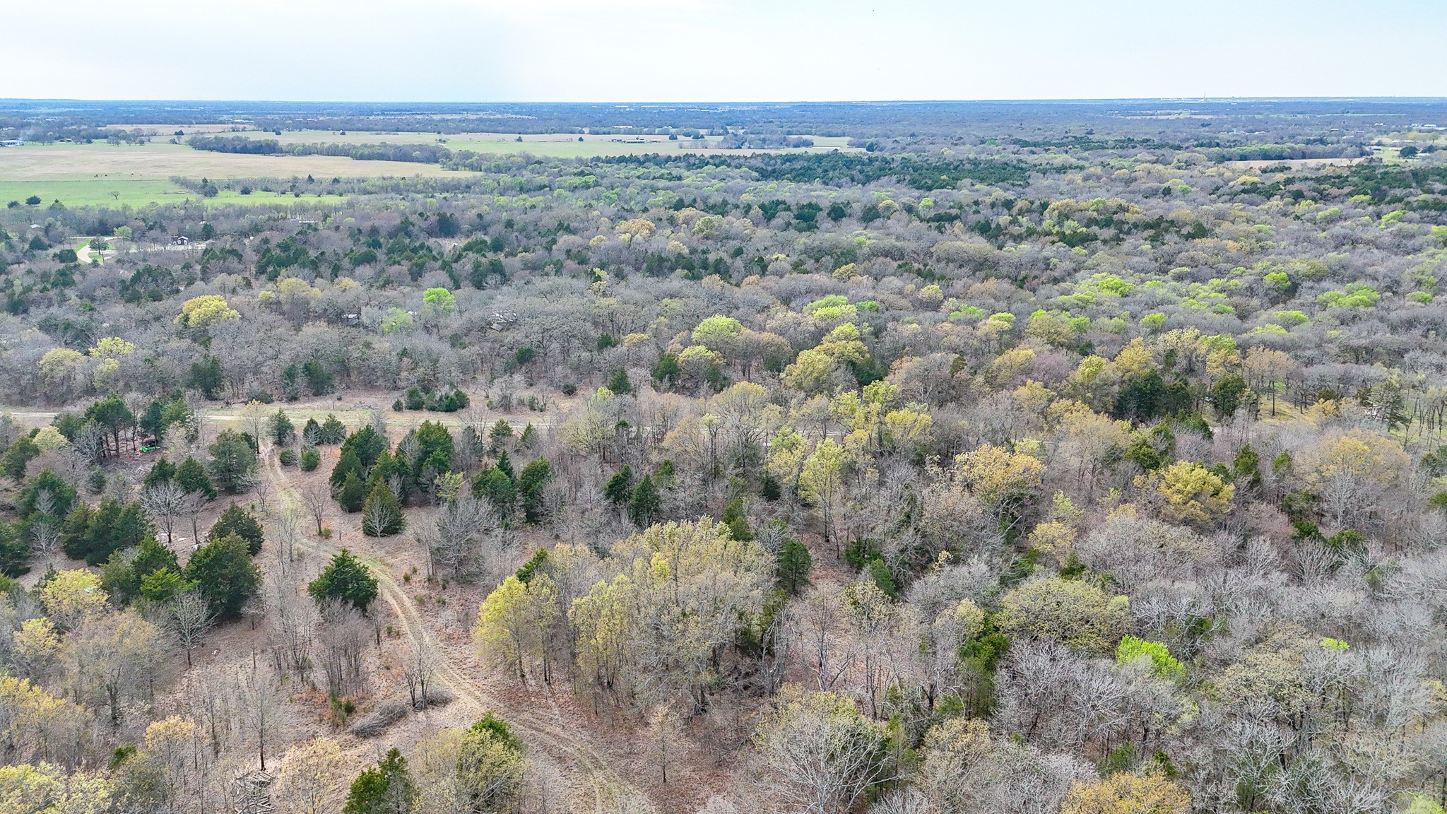 Lot 12 Sunrise West Corsicana TX 75109