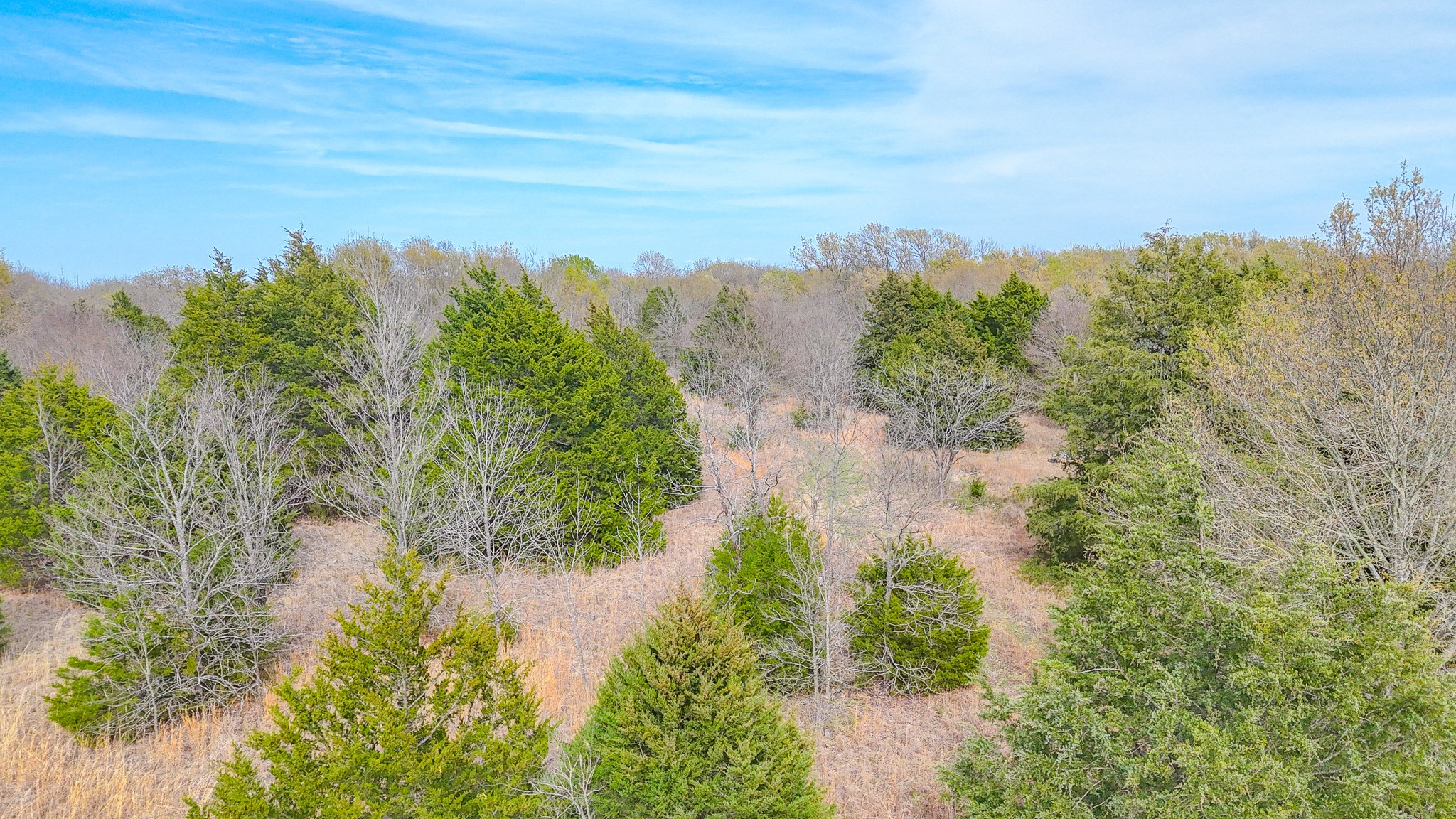 Lot 12 Sunrise West Corsicana TX 75109