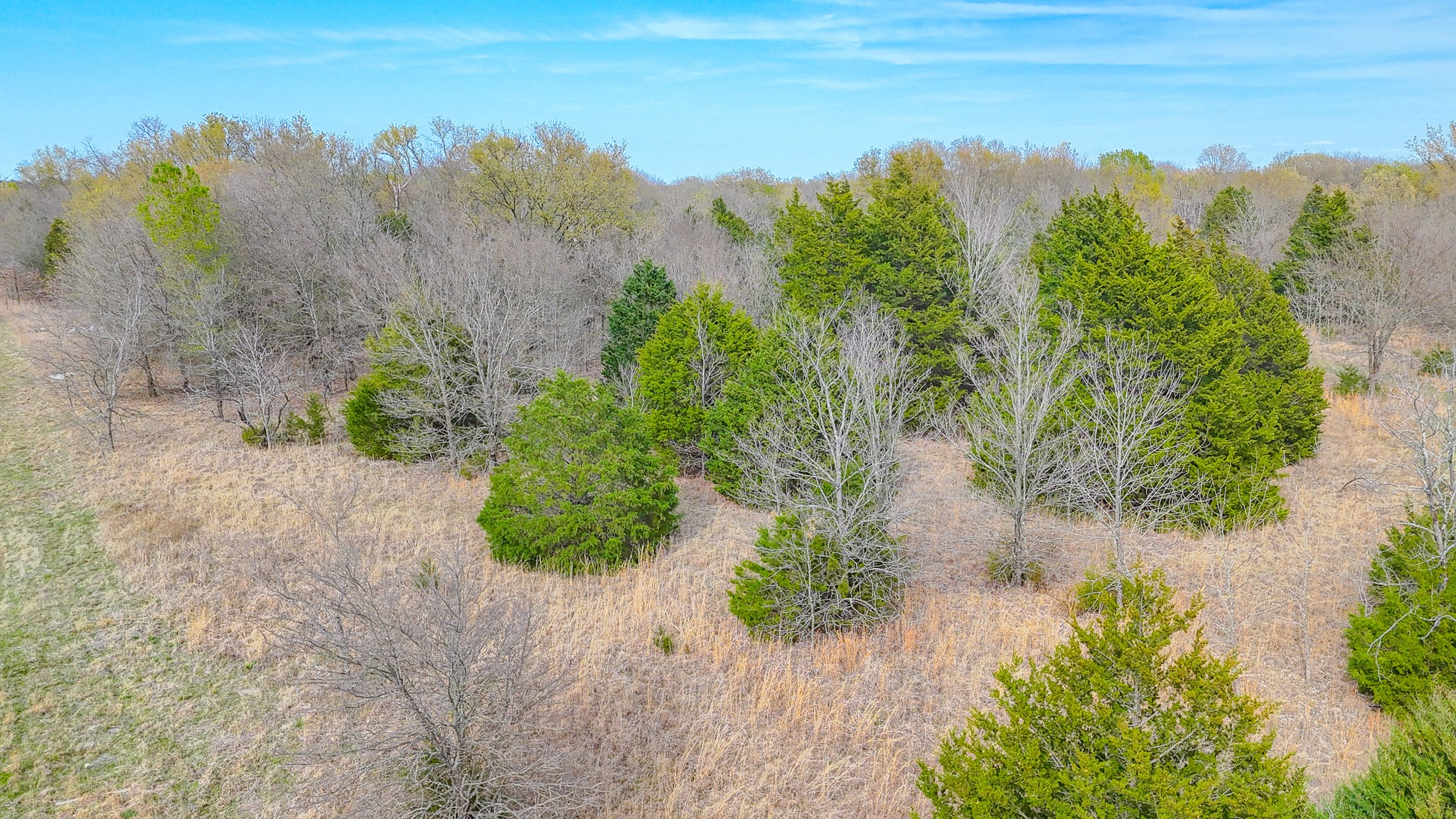 Lot 12 Sunrise West Corsicana TX 75109