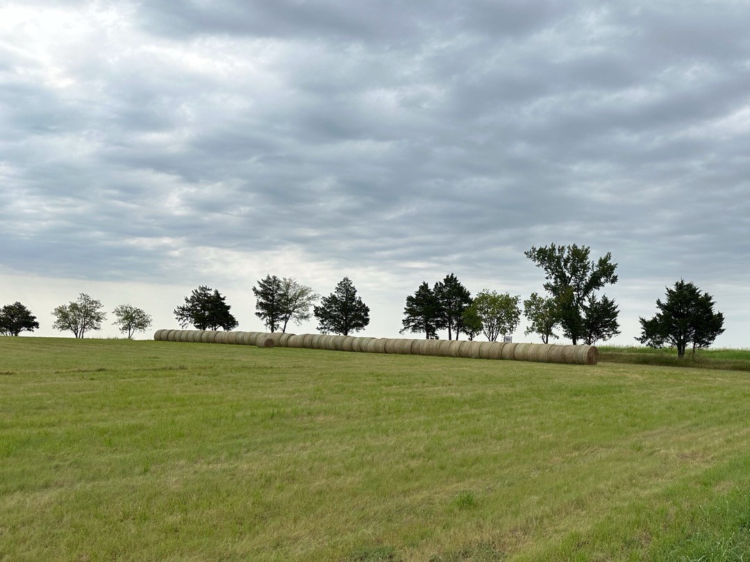 178 Williams Road Gordonville TX 76245