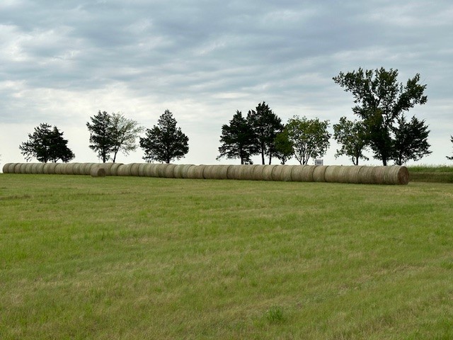 178 Williams Road Gordonville TX 76245