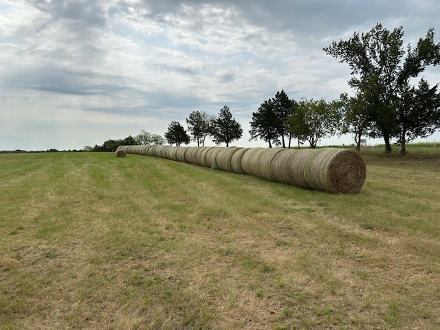178 Williams Road Gordonville TX 76245