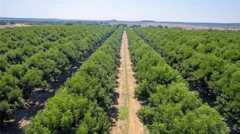 Tbd County Road 216 San Saba TX 76877