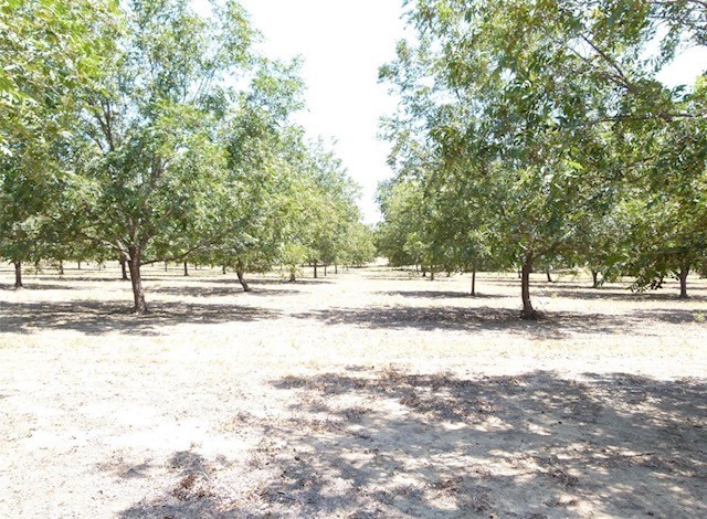 Tbd County Road 216 San Saba TX 76877