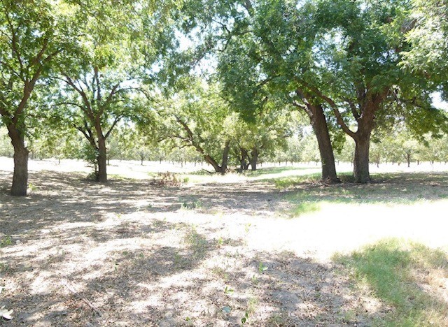 Tbd County Road 216 San Saba TX 76877