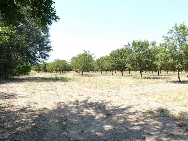 Tbd County Road 216 San Saba TX 76877