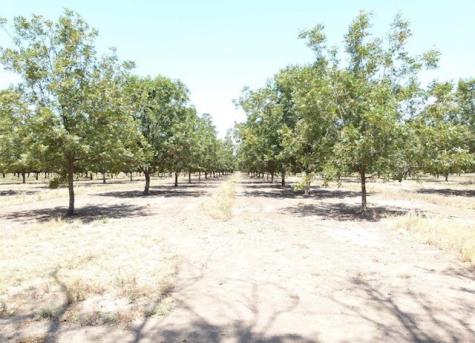 Tbd County Road 216 San Saba TX 76877