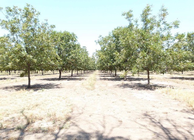 Tbd County Road 216 San Saba TX 76877