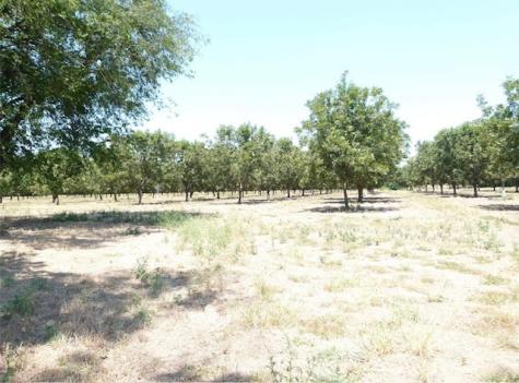Tbd County Road 216 San Saba TX 76877