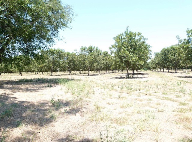 Tbd County Road 216 San Saba TX 76877