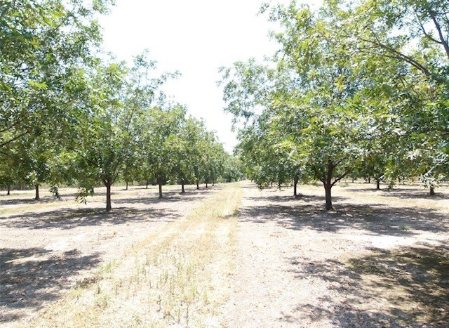 Tbd County Road 216 San Saba TX 76877