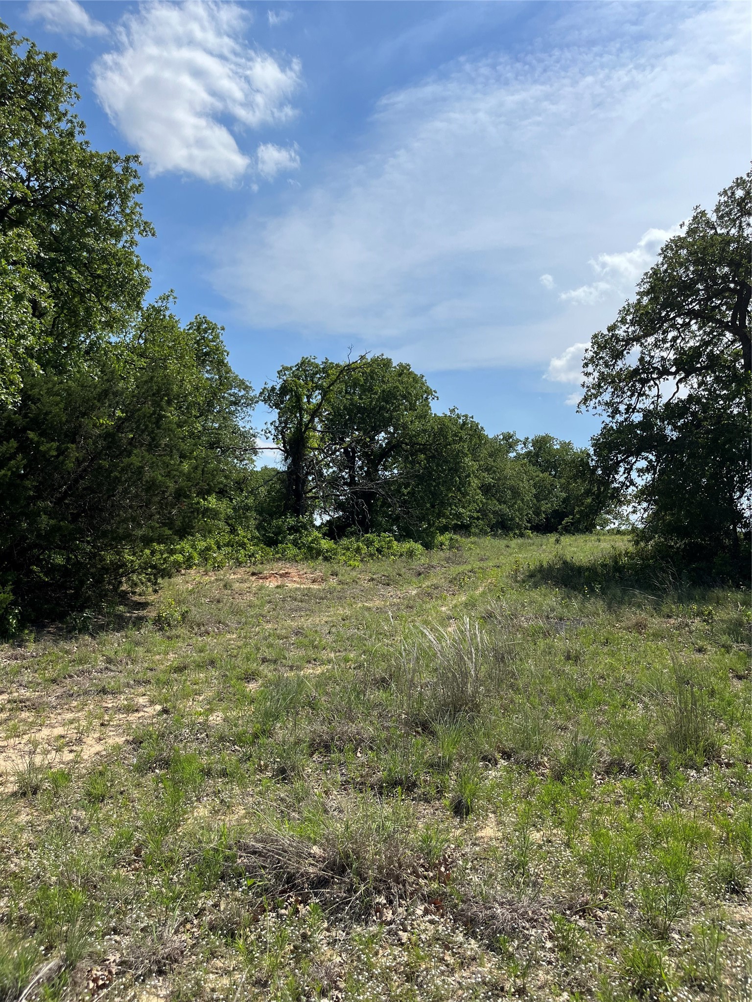 Lot 12 Clare Road Poolville TX 76487