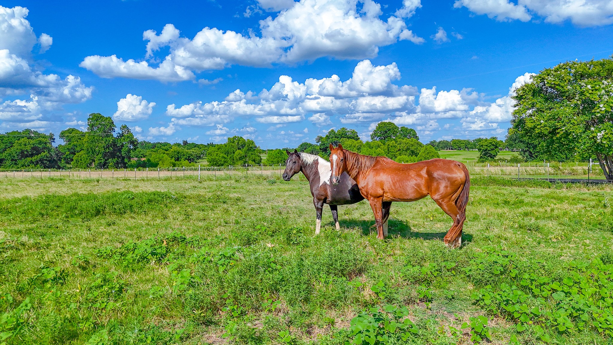 Tbd Lot 1 NW Cr 0150 Ennis TX 75119