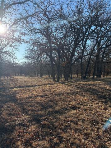 1190 N State Highway 220 Hico TX 76457