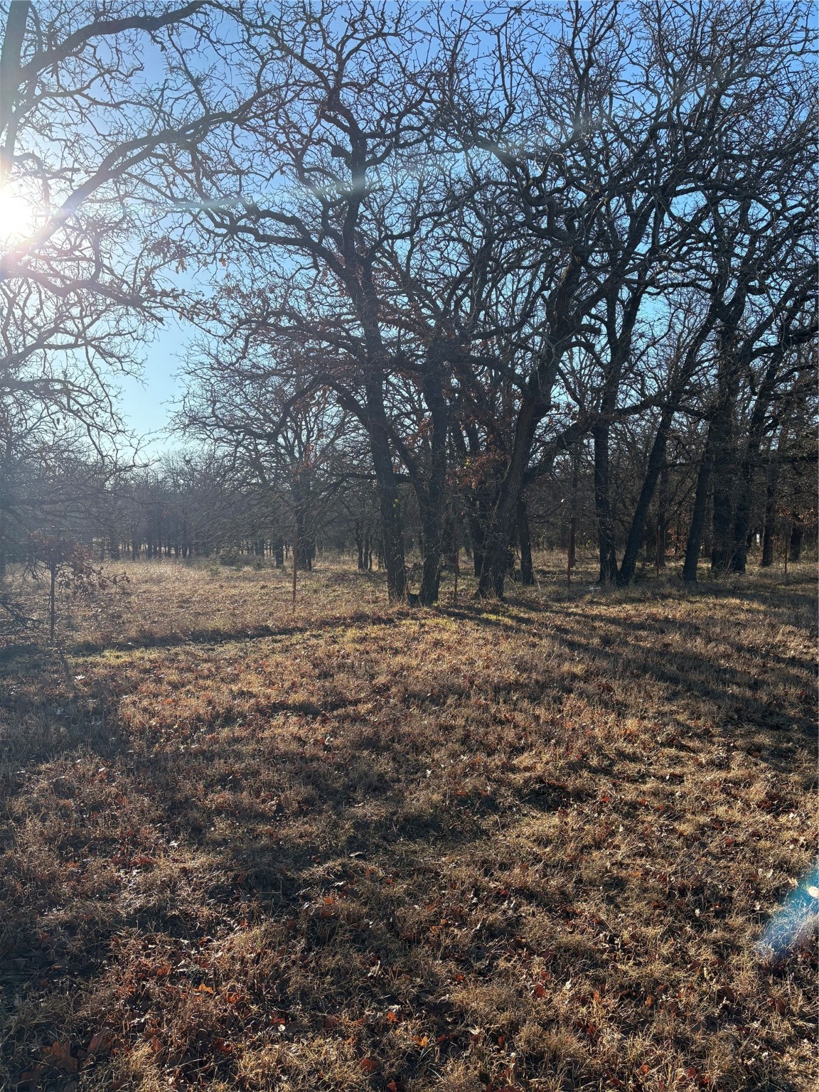 1190 N State Highway 220 Hico TX 76457