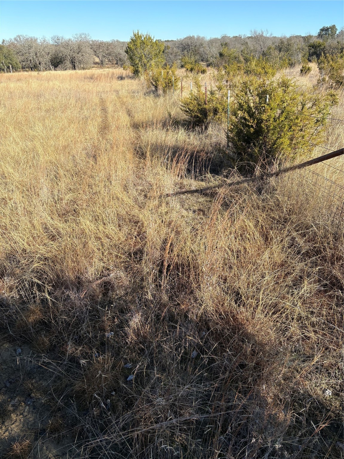 1190 N State Highway 220 Hico TX 76457