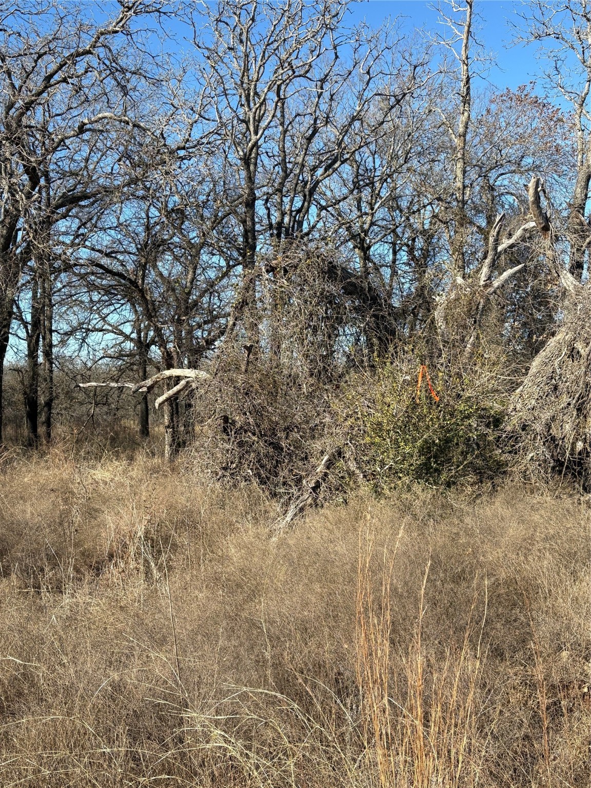 1190 N State Highway 220 Hico TX 76457