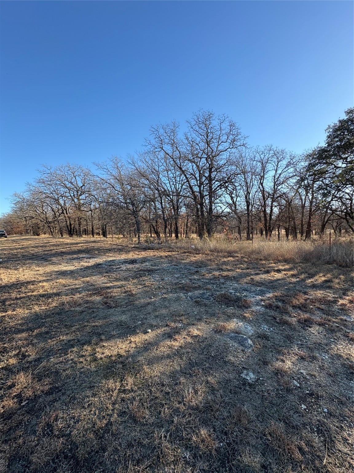 1190 N State Highway 220 Hico TX 76457