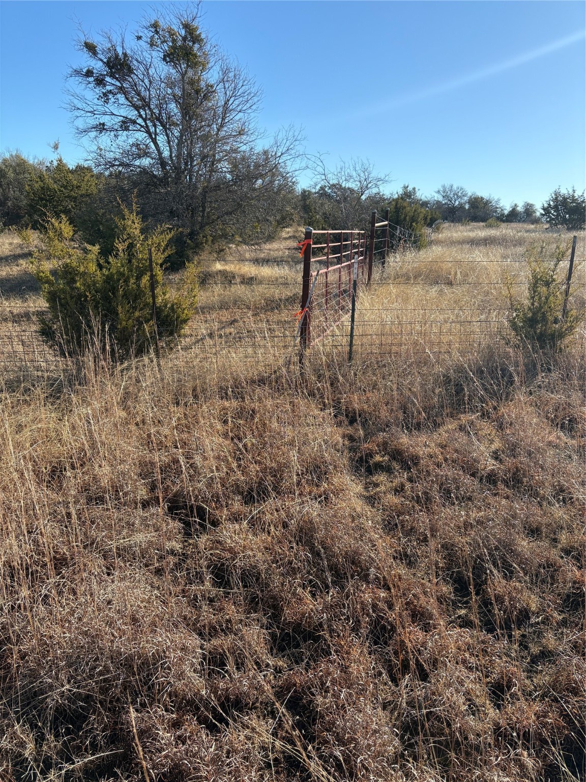 1190 N State Highway 220 Hico TX 76457