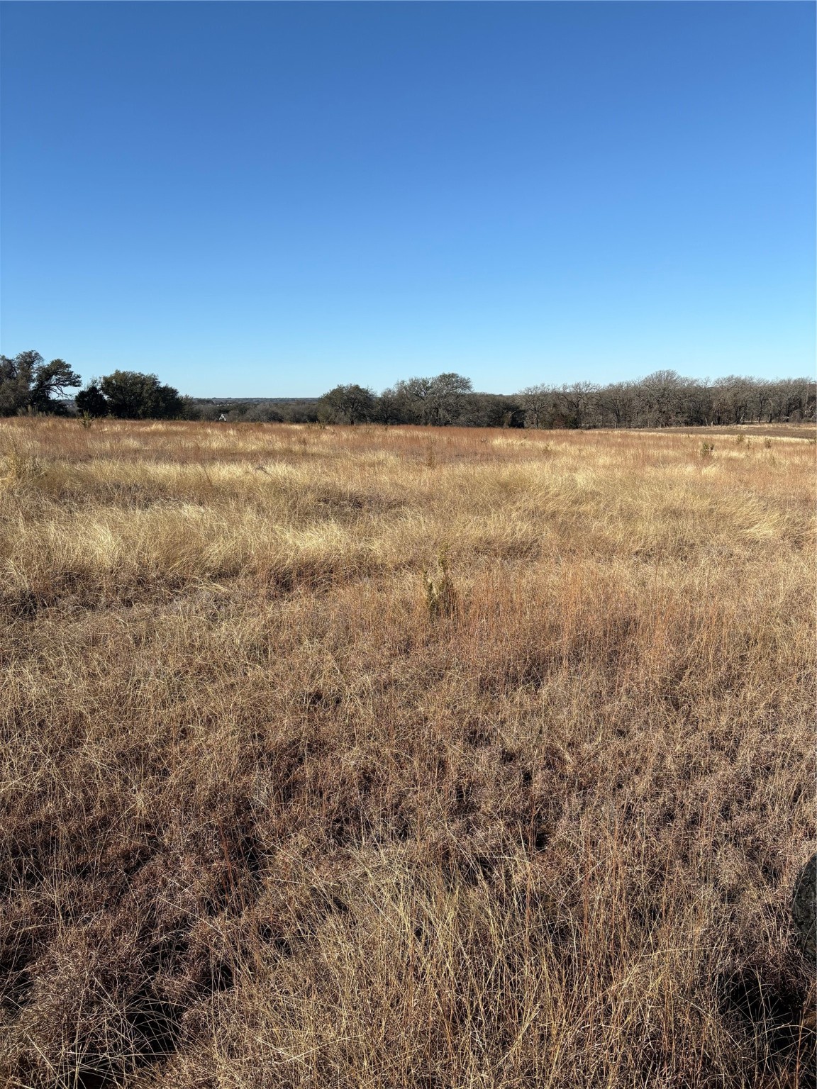 1190 N State Highway 220 Hico TX 76457