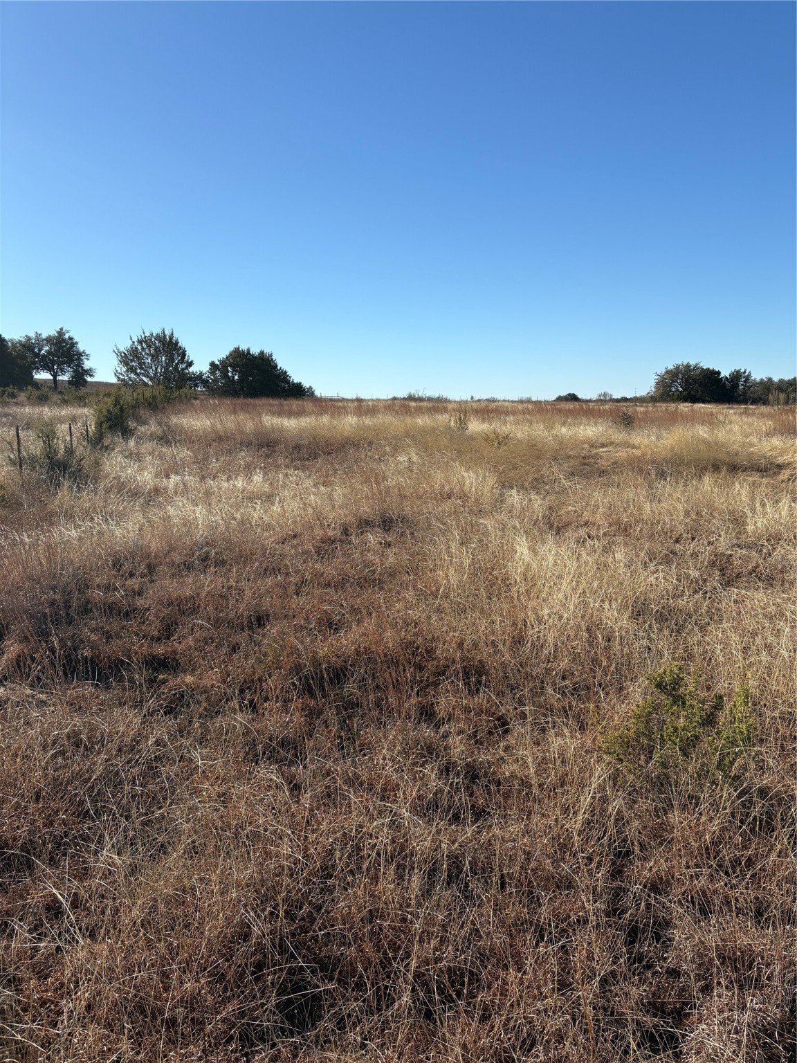 1190 N State Highway 220 Hico TX 76457