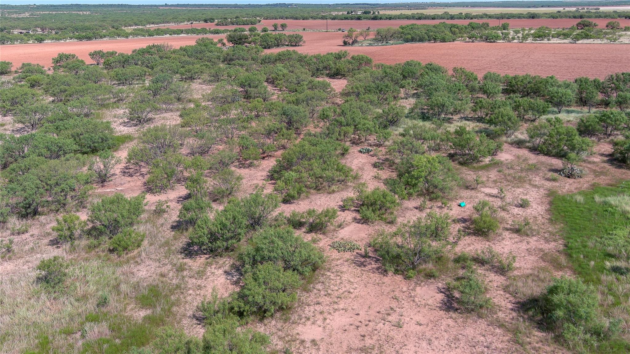159 Kissinger And Turkey Creek Seymour, Tx 76380 Seymour TX 76380