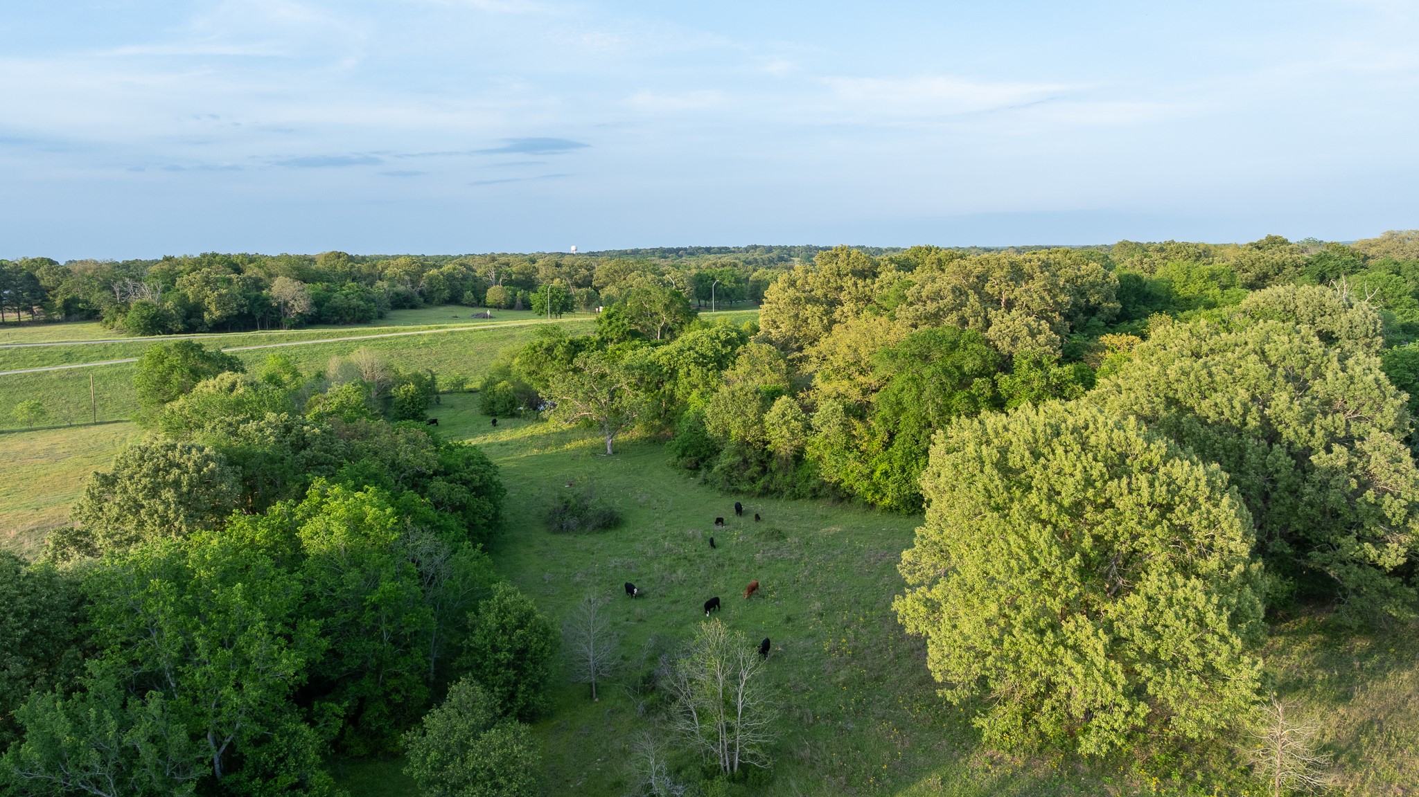 951 SE Loop 7 Athens TX 75751