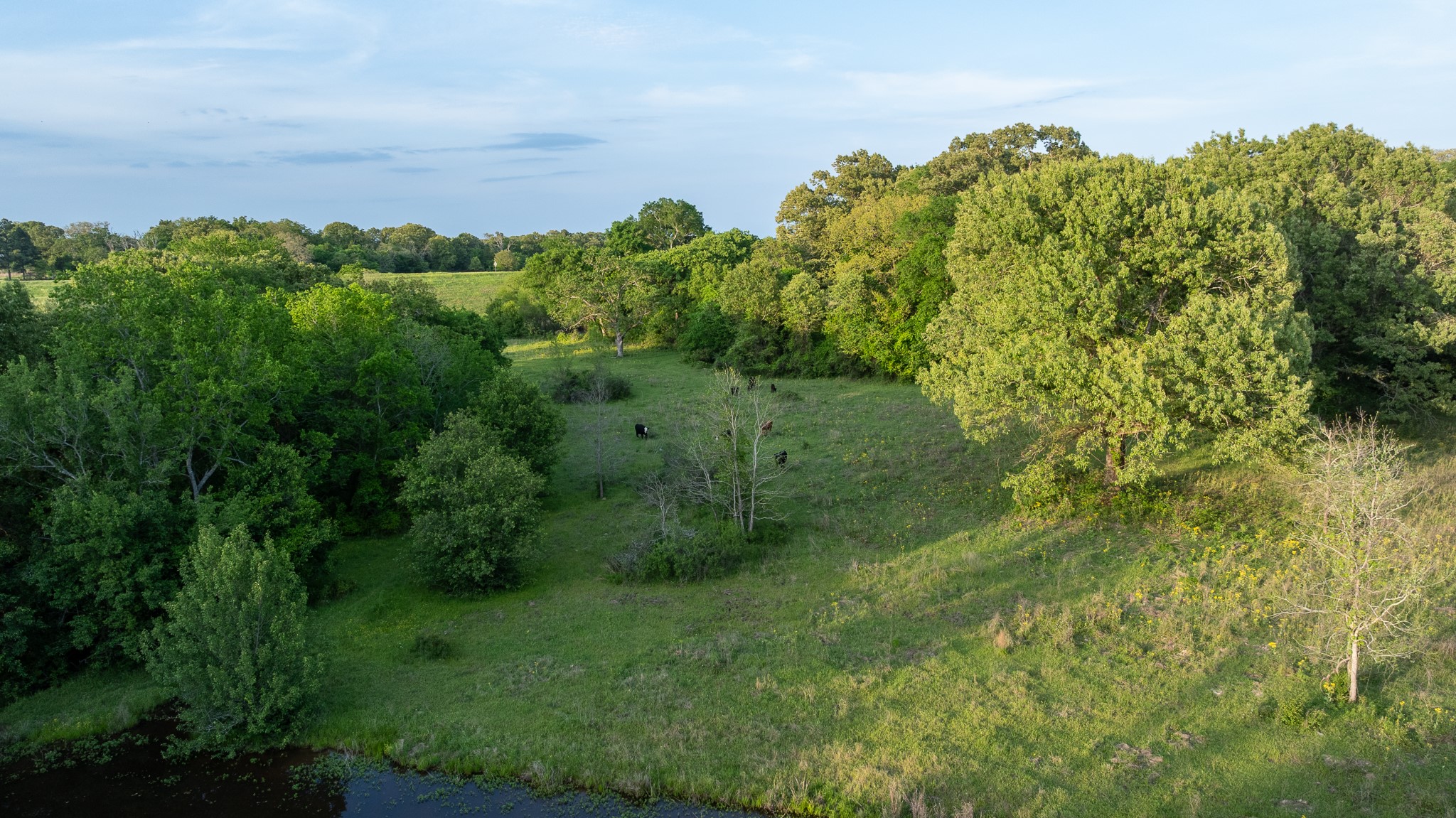 951 SE Loop 7 Athens TX 75751