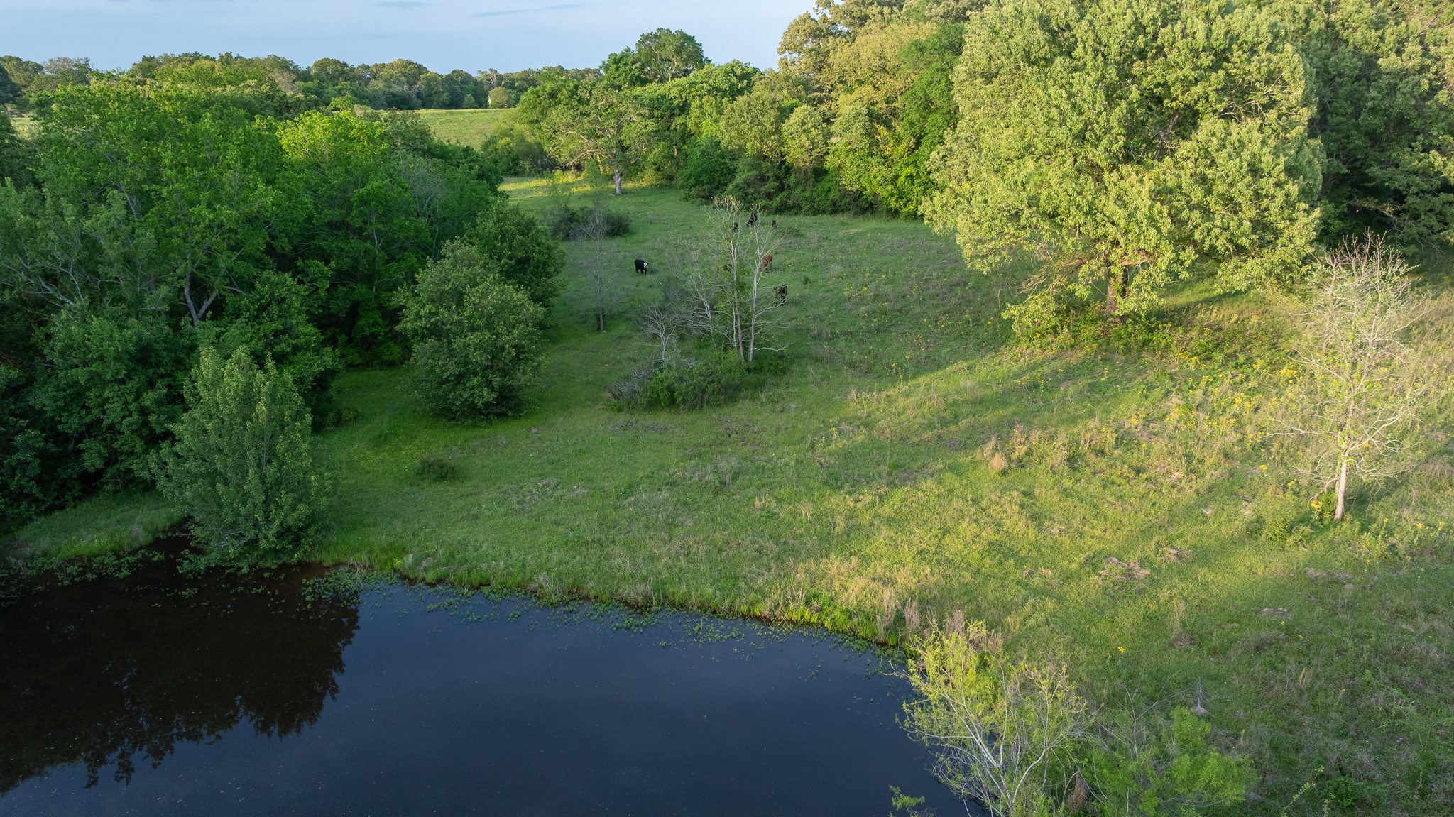 951 SE Loop 7 Athens TX 75751