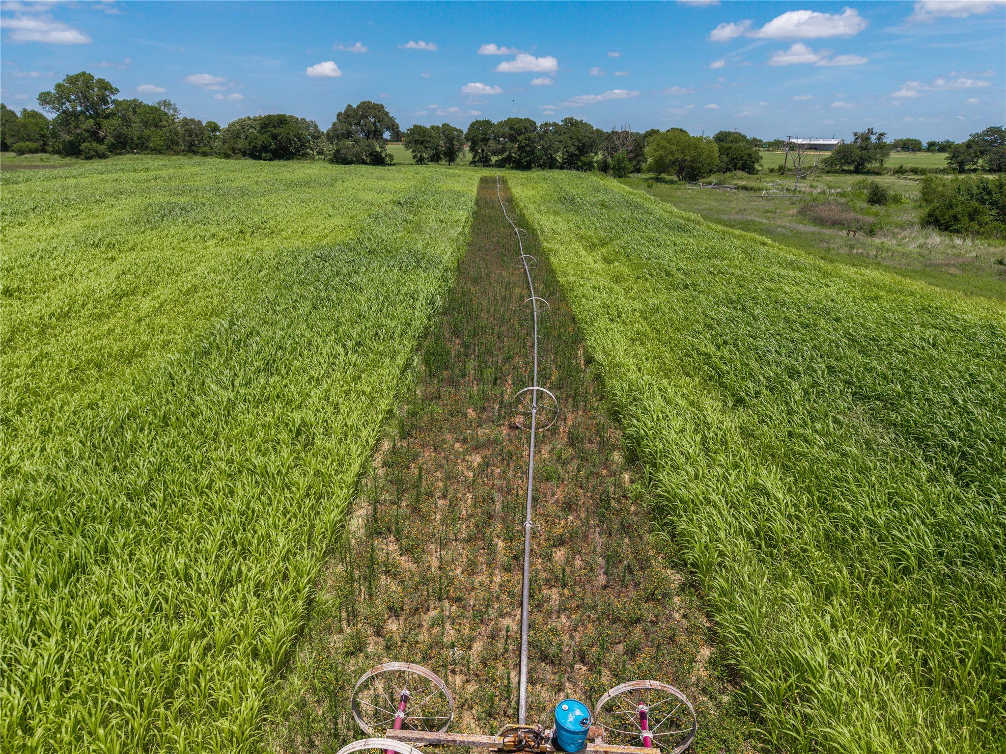 25.495 Acres Highway 6 West De Leon TX 76444
