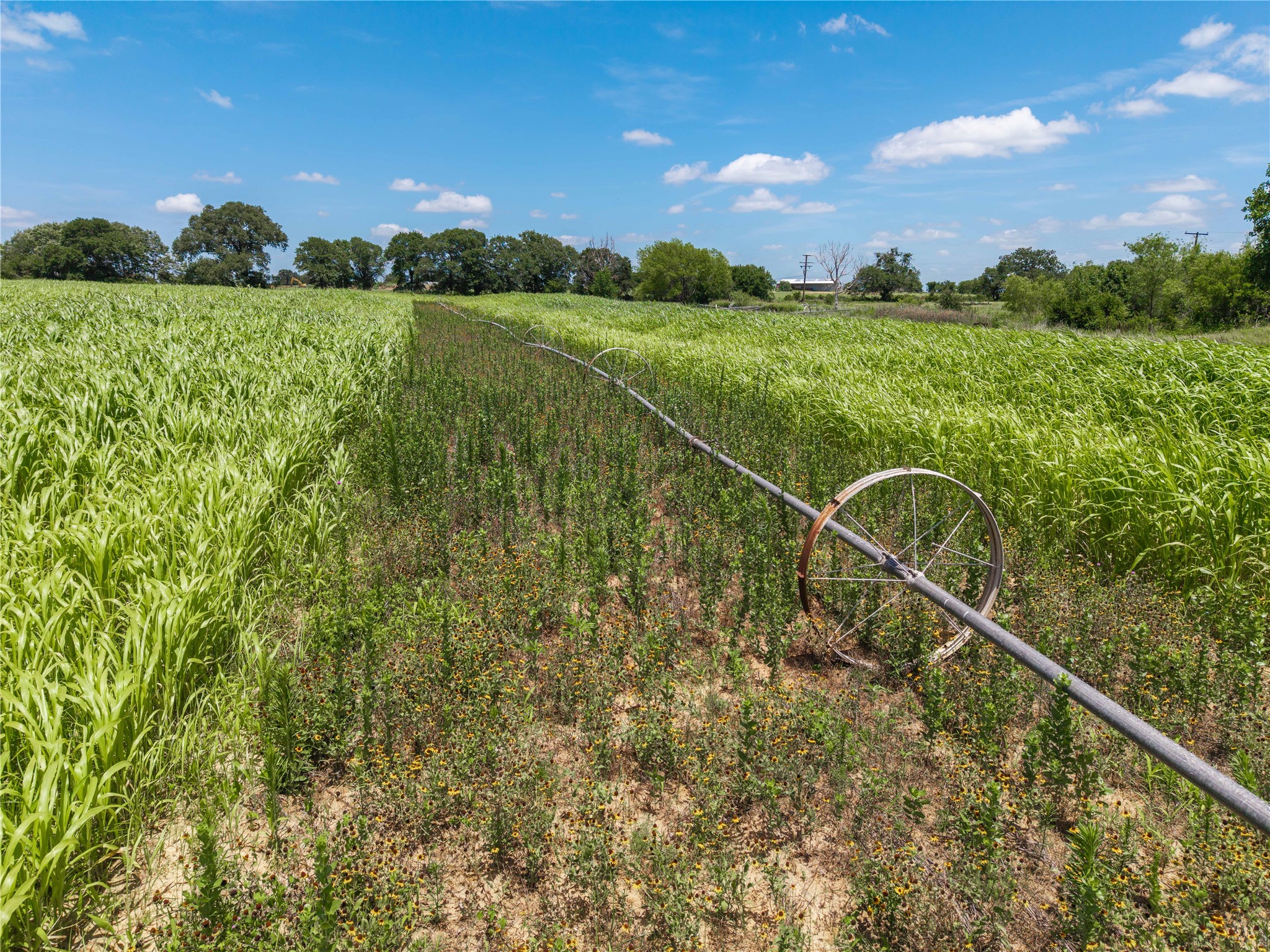 25.495 Acres Highway 6 West De Leon TX 76444