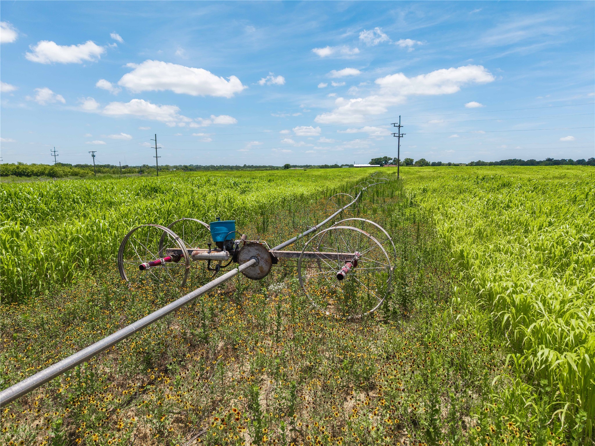 25.495 Acres Highway 6 West De Leon TX 76444