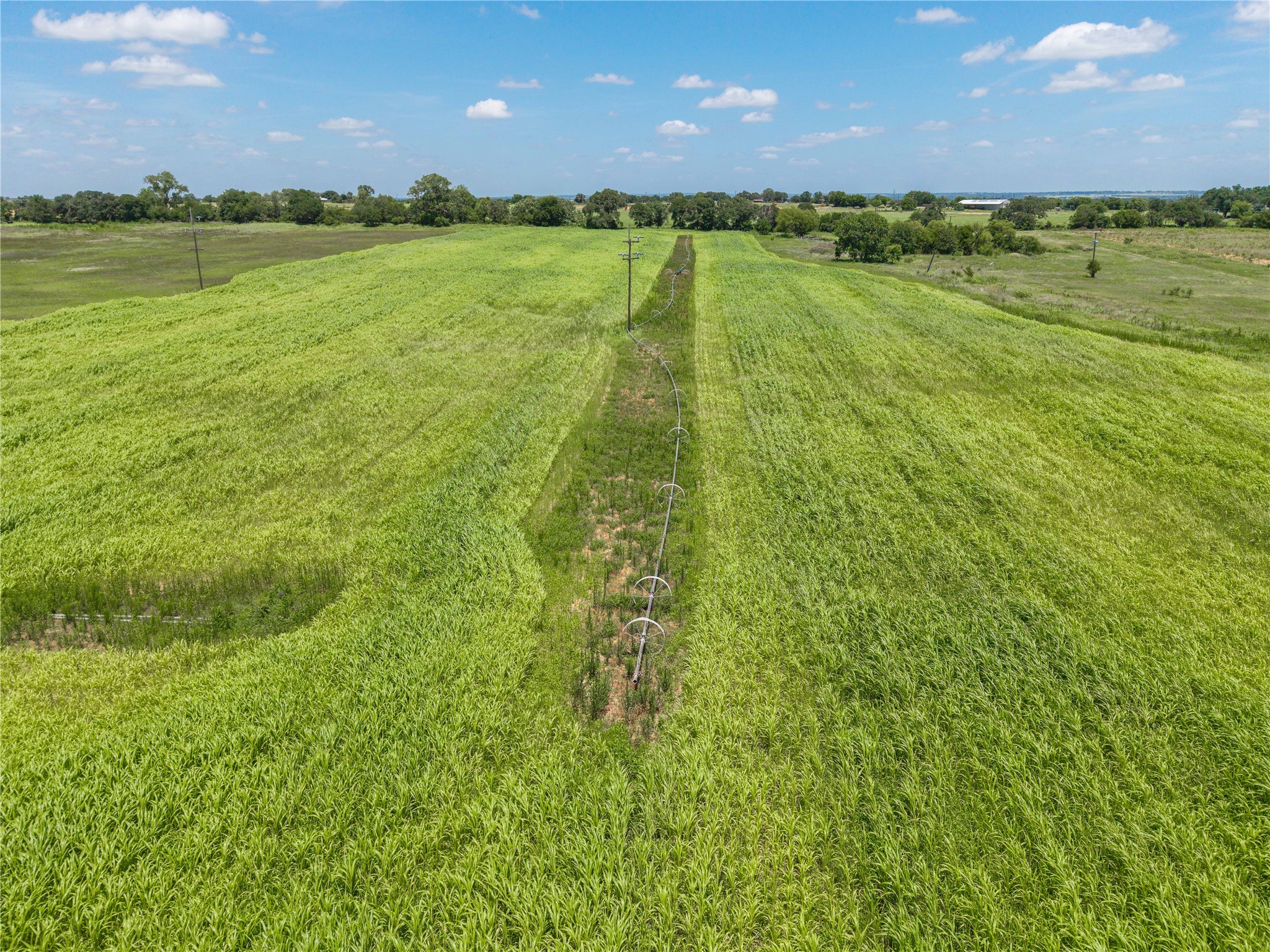 25.495 Acres Highway 6 West De Leon TX 76444