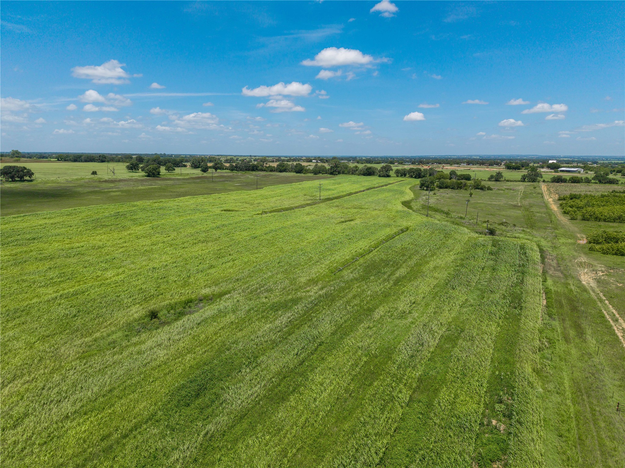 25.495 Acres Highway 6 West De Leon TX 76444