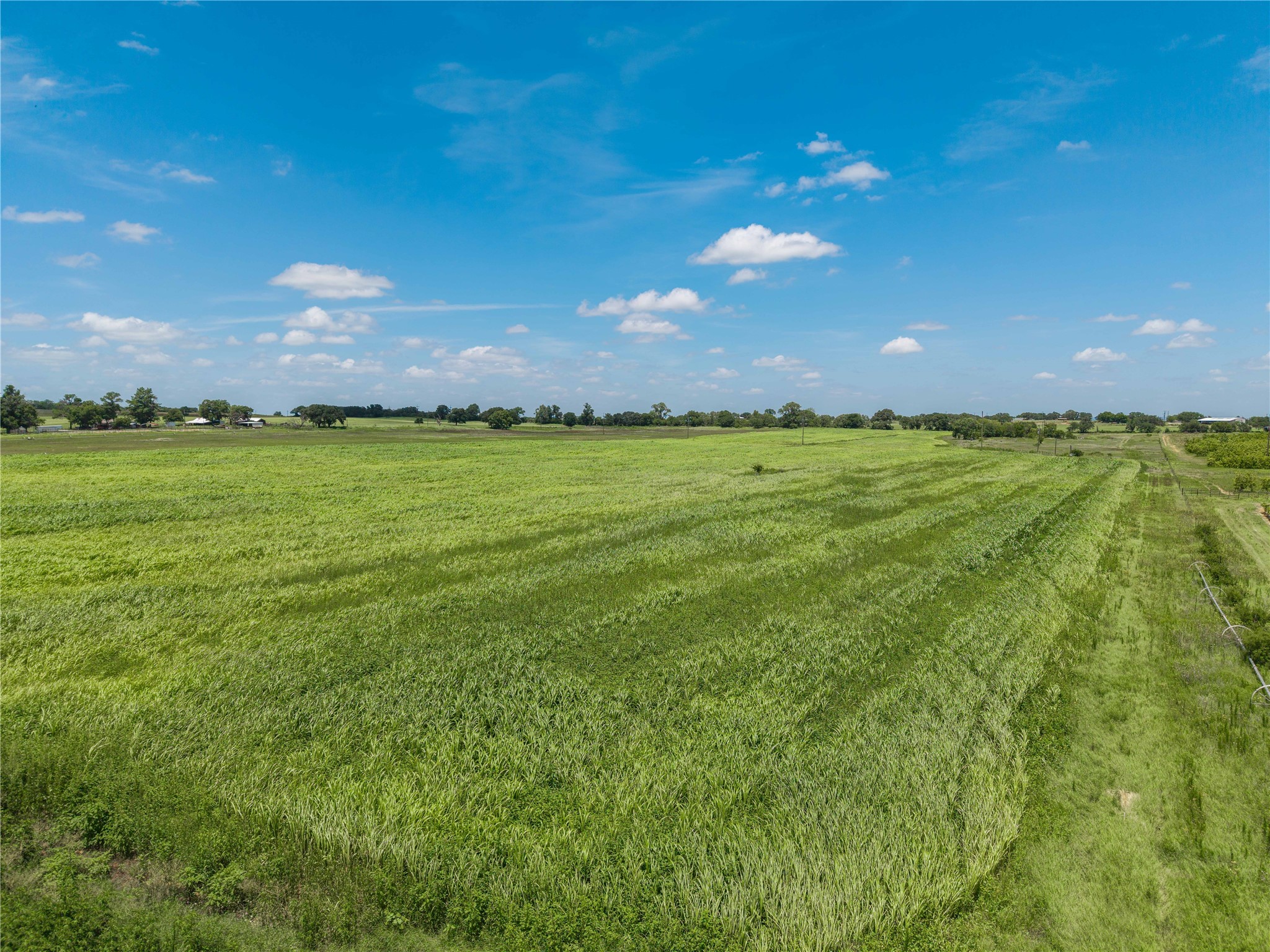 25.495 Acres Highway 6 West De Leon TX 76444