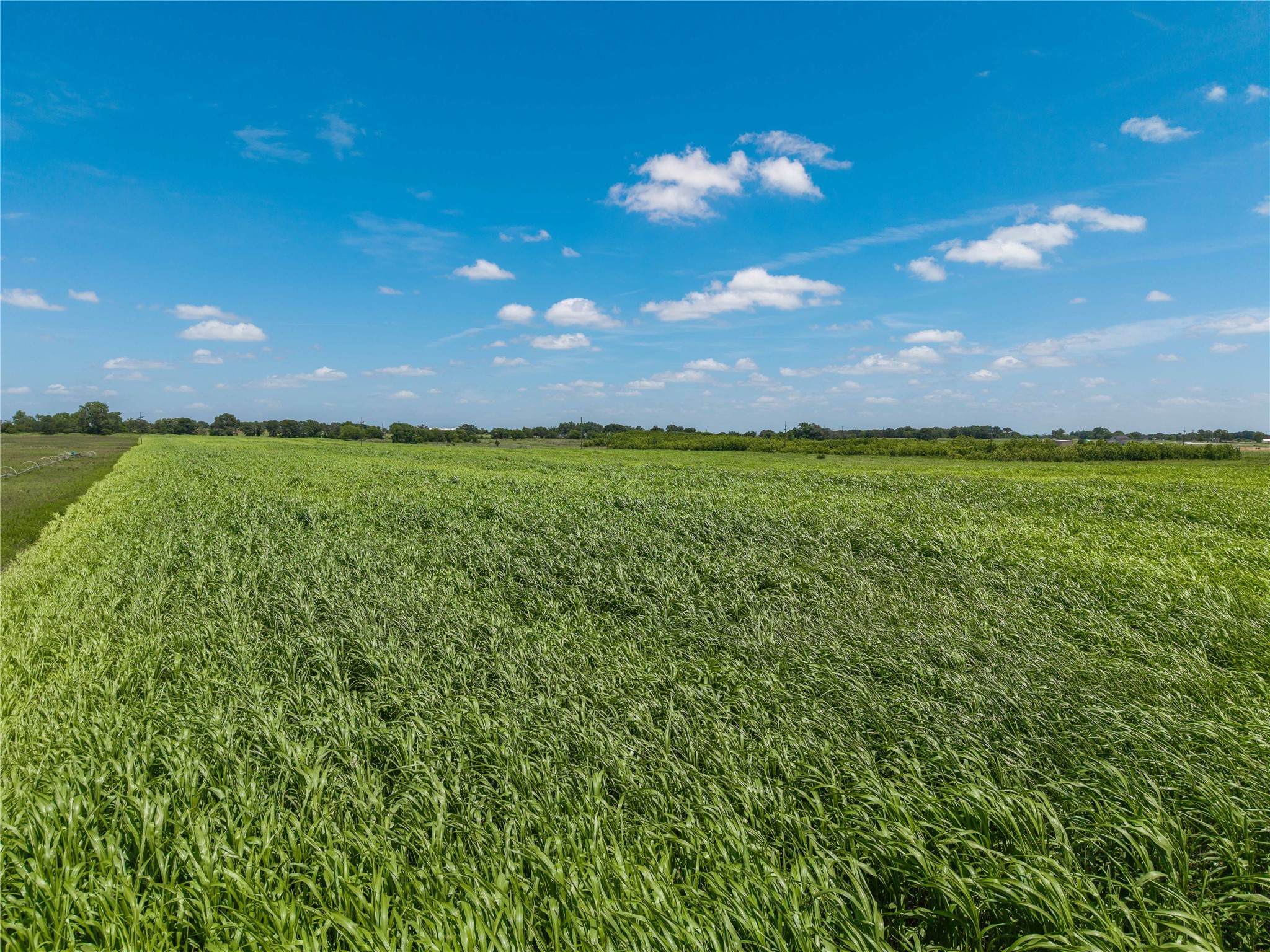 25.495 Acres Highway 6 West De Leon TX 76444