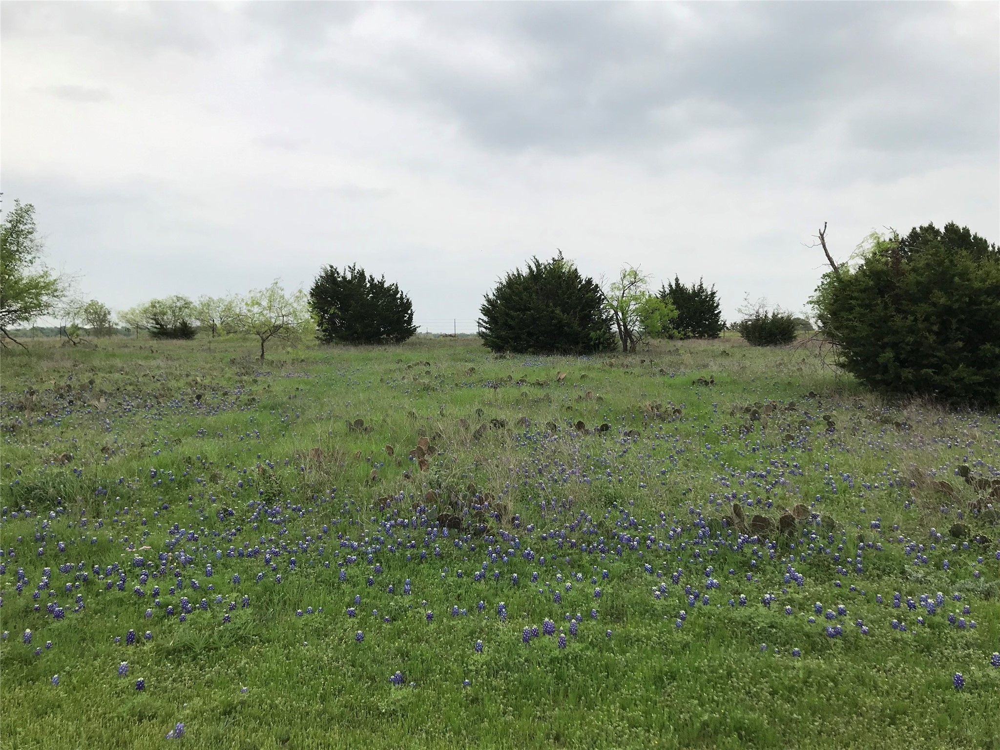 34020 Stonewood Drive Whitney TX 76692