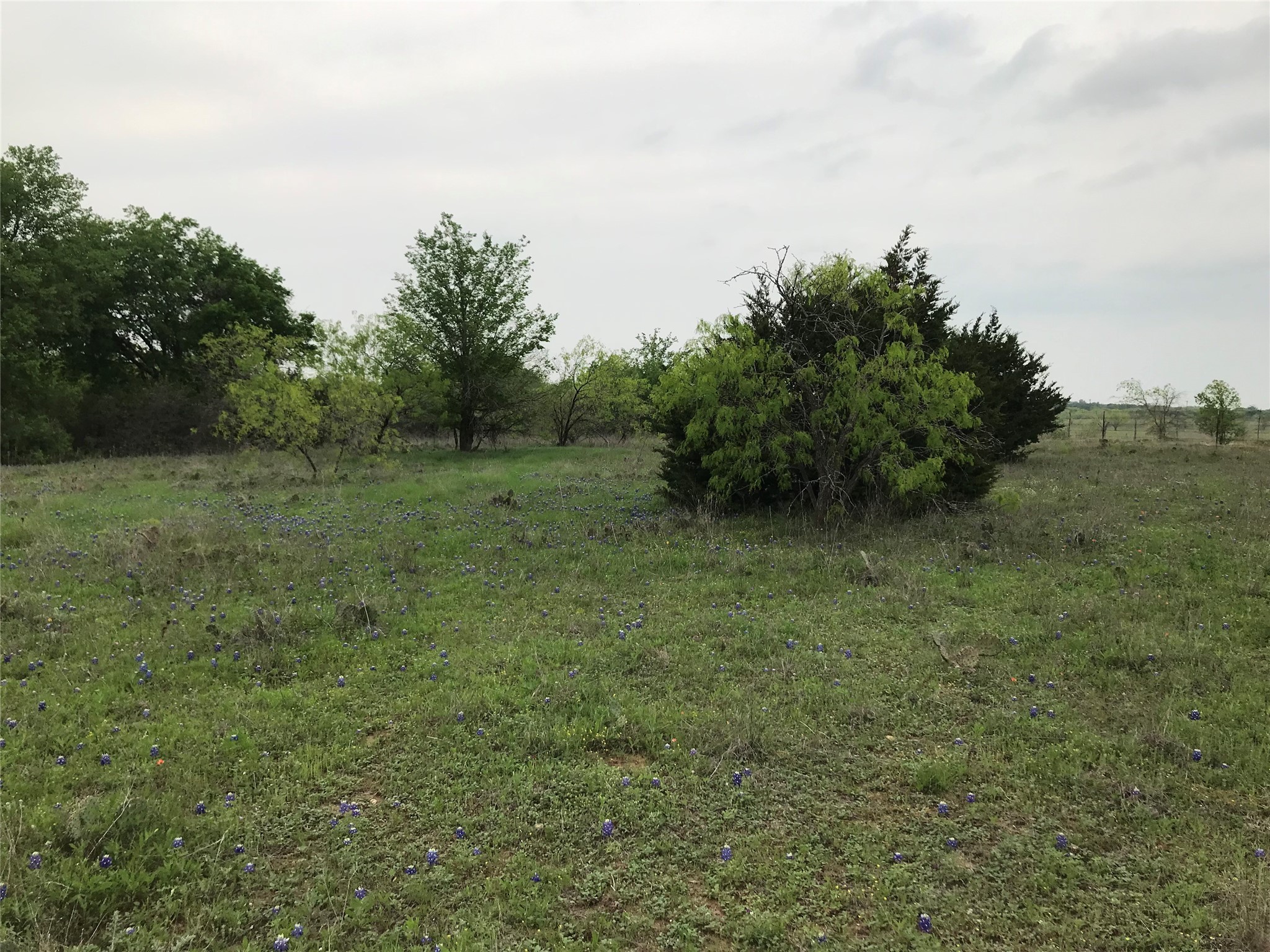 34020 Stonewood Drive Whitney TX 76692