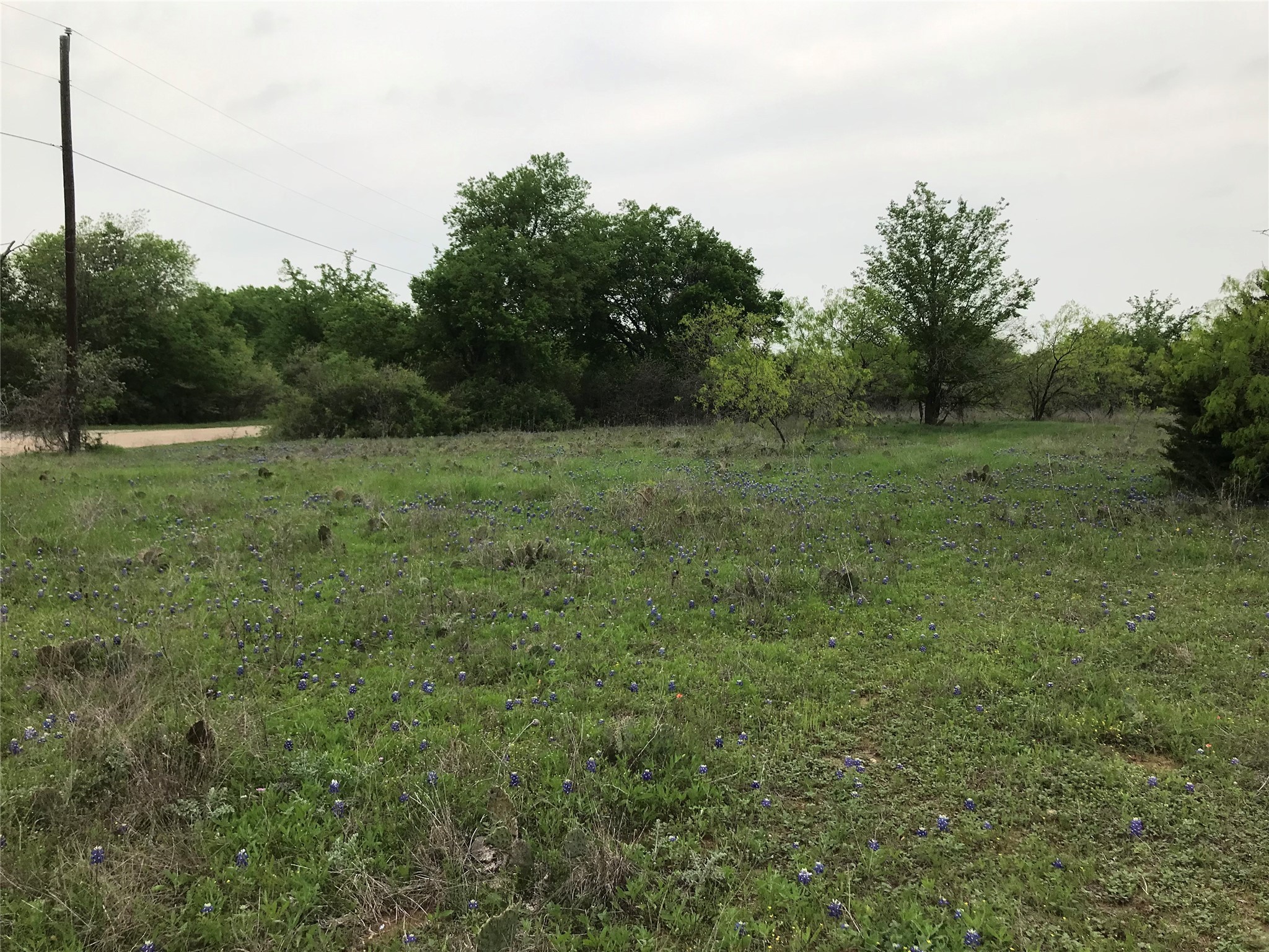 34020 Stonewood Drive Whitney TX 76692