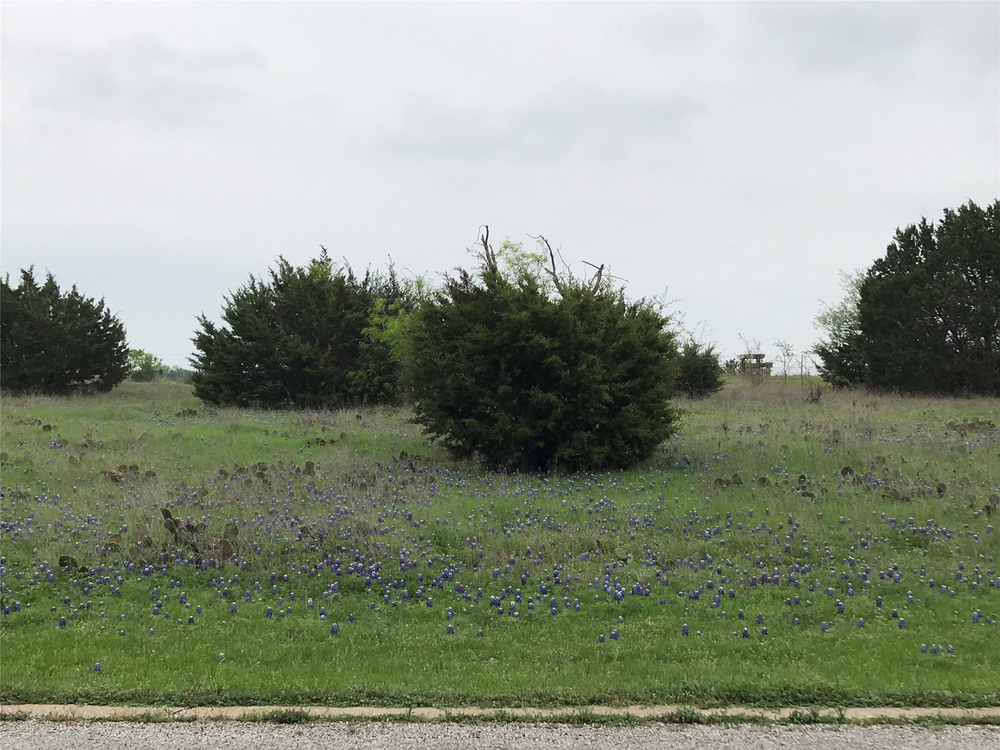 34020 Stonewood Drive Whitney TX 76692