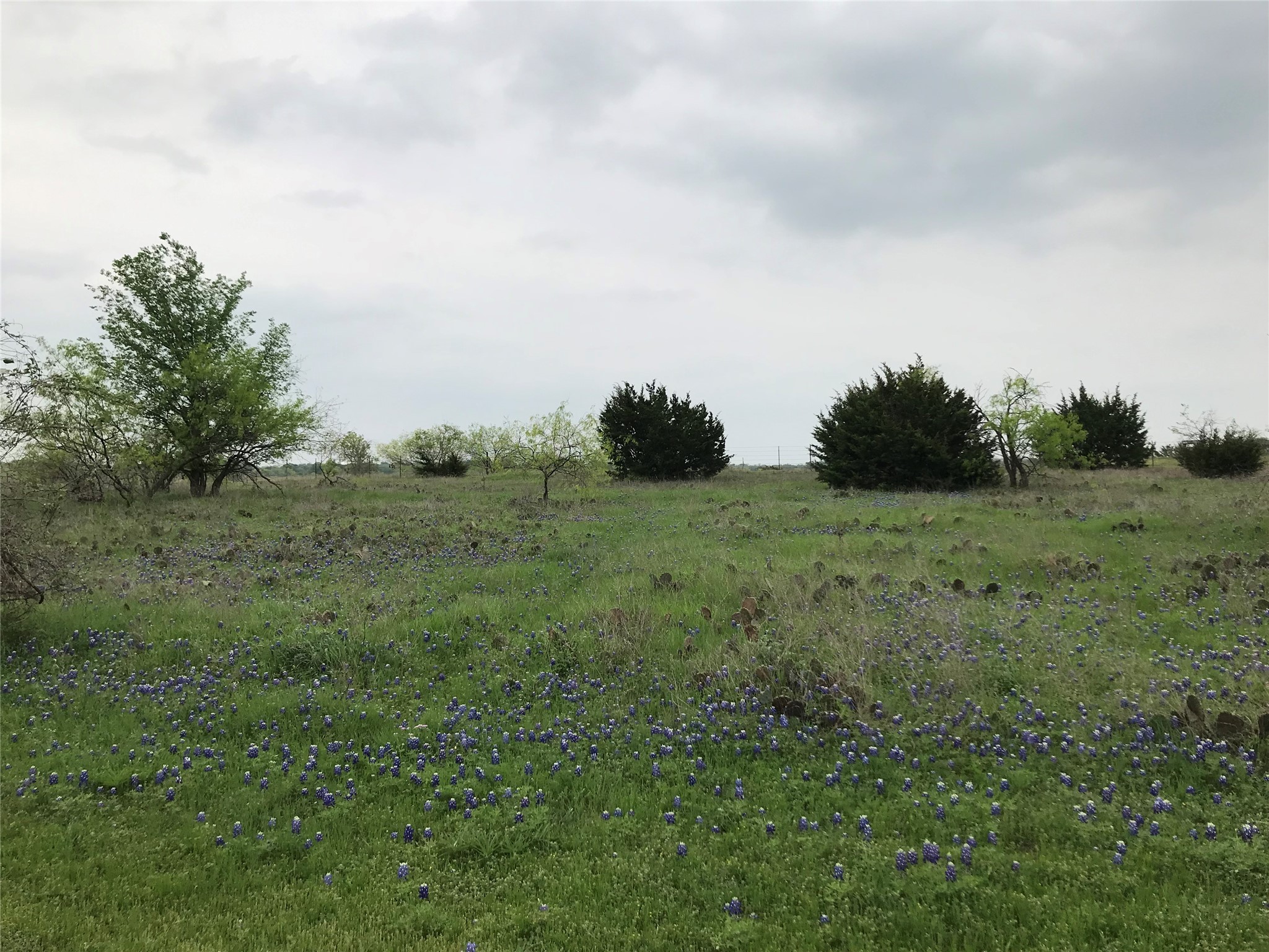 34020 Stonewood Drive Whitney TX 76692