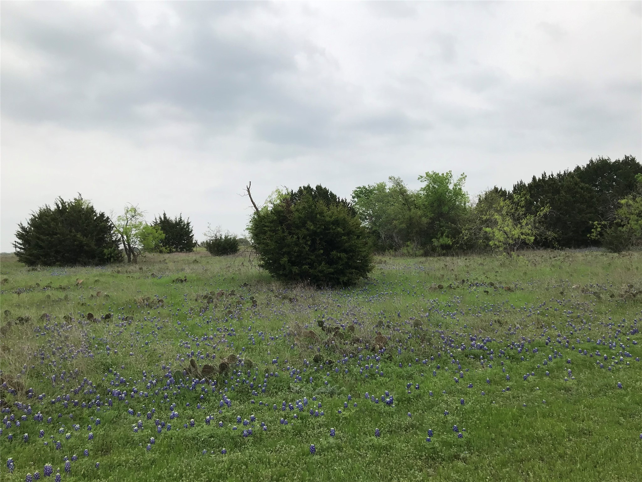 34020 Stonewood Drive Whitney TX 76692