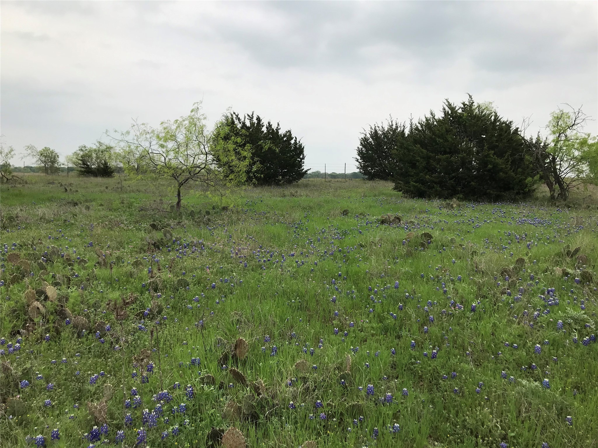 34020 Stonewood Drive Whitney TX 76692