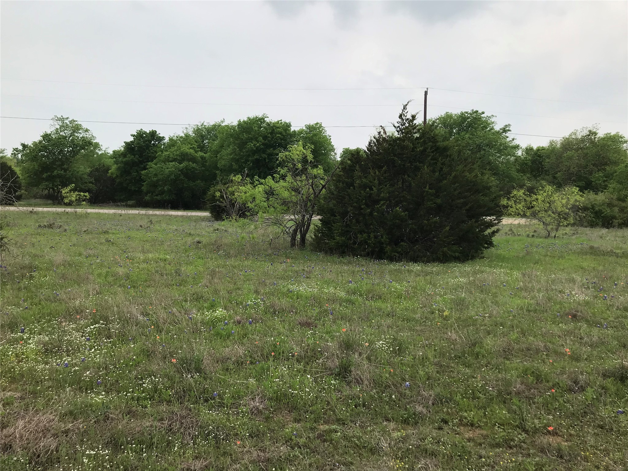 34020 Stonewood Drive Whitney TX 76692